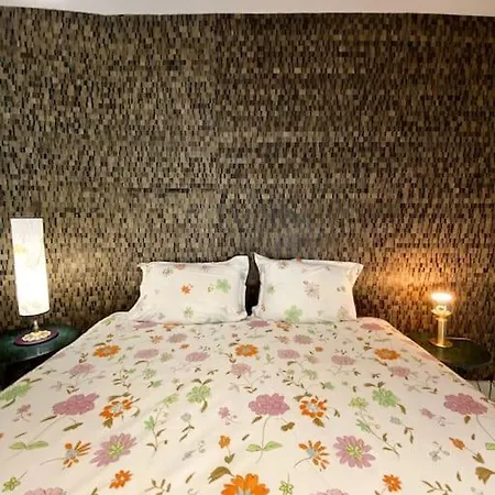 *victoria Plaza* Loft Au Coeur De Daire *