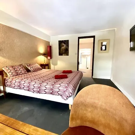 *victoria Plaza* Loft Au Coeur De * Vichy