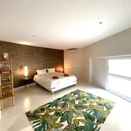 Daire *victoria Plaza* Loft Au Coeur De Vichy