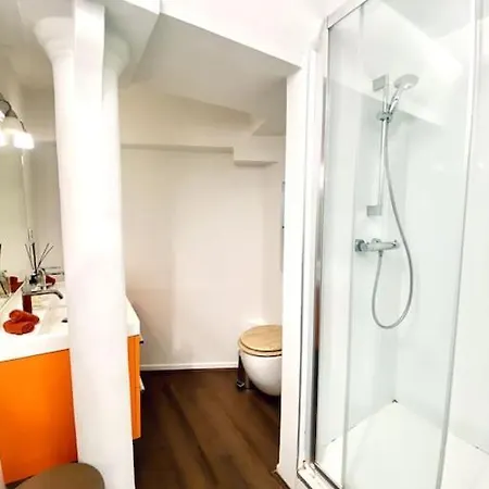*victoria Plaza* Loft Au Coeur De * Vichy