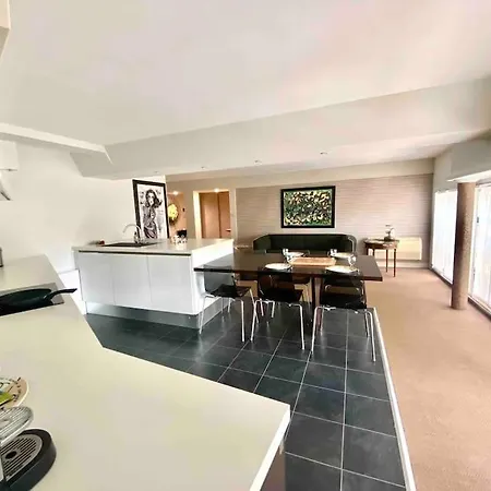 *victoria Plaza* Loft Au Coeur De * Vichy